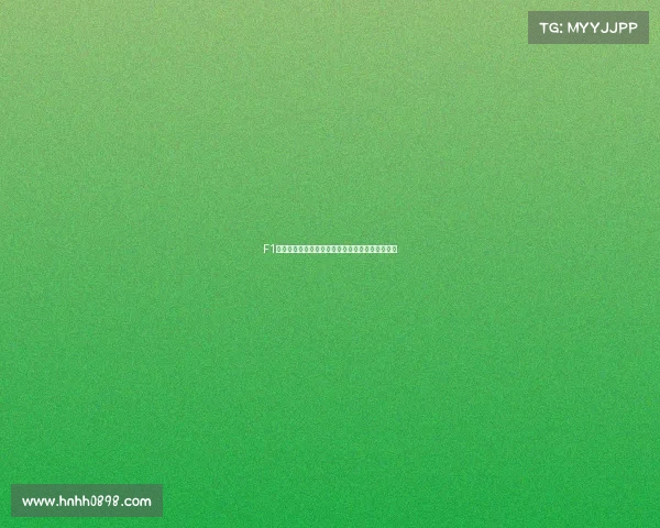 F1一级方程式赛车赛事全面介绍历史规则与技术详解 F1一级方程式赛车赛事全面介绍历史规则与技术详解